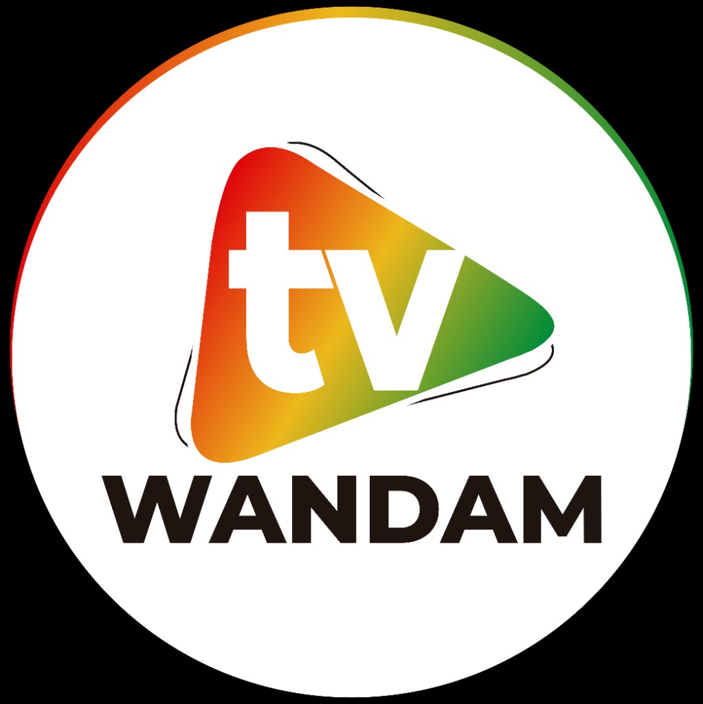 TV WANDAM